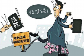 驻马店专业讨债公司有哪些核心服务？